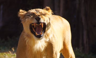 天王寺動物園に投稿された画像（2020/11/14）