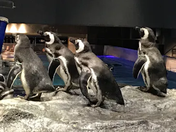 すみだ水族館に投稿された画像（2020/11/14）