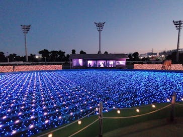 東京メガイルミに投稿された画像（2020/11/14）