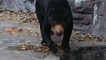 天王寺動物園に投稿された画像（2020/11/14）