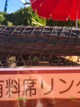 東京サマーランドに投稿された画像（2020/11/14）