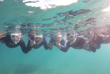 アマミエンシスに投稿された画像（2020/11/14）