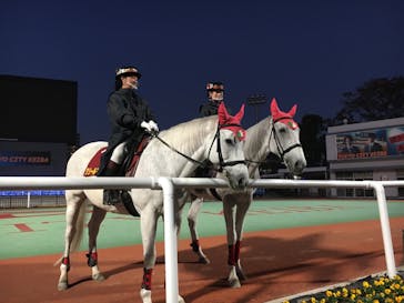 東京メガイルミに投稿された画像（2020/11/14）