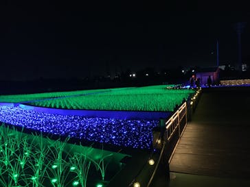 東京メガイルミに投稿された画像（2020/11/14）