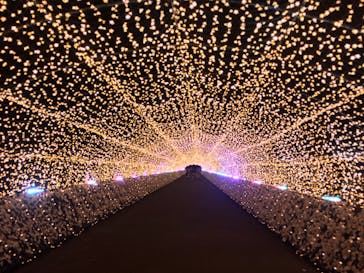 東京メガイルミに投稿された画像（2020/11/14）