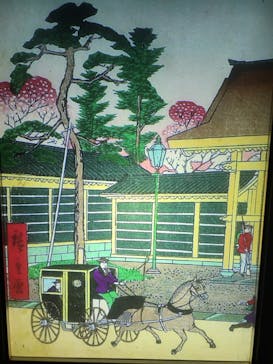 東京メガイルミに投稿された画像（2020/11/14）