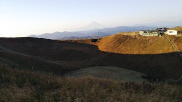 伊豆シャボテン動物公園に投稿された画像（2020/11/14）