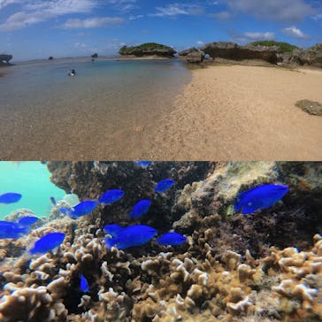 武藤潜水に投稿された画像（2020/11/14）