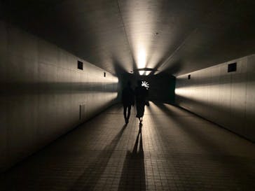 東京メガイルミに投稿された画像（2020/11/14）