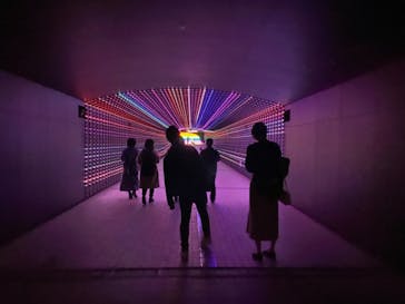 東京メガイルミに投稿された画像（2020/11/14）