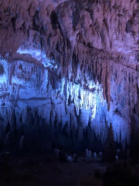 おきなわワールドに投稿された画像（2020/11/14）