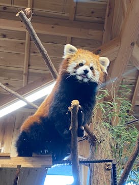 伊豆シャボテン動物公園に投稿された画像（2020/11/14）