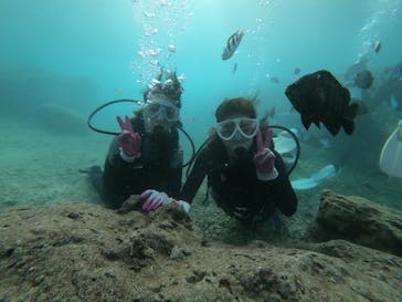 武藤潜水に投稿された画像（2020/11/15）