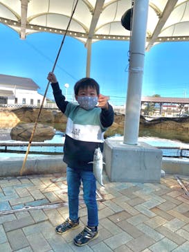 志摩市浜島磯体験施設 海ほおずきに投稿された画像（2020/11/15）