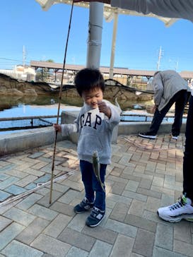 志摩市浜島磯体験施設 海ほおずきに投稿された画像（2020/11/15）