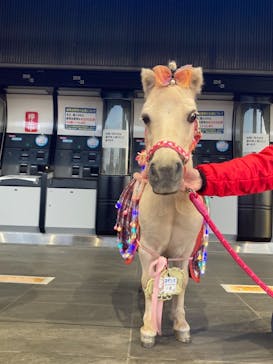 東京メガイルミに投稿された画像（2020/11/15）