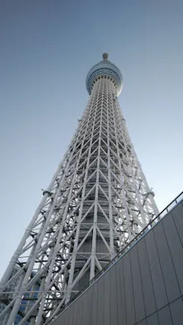 東京スカイツリーに投稿された画像（2020/11/15）