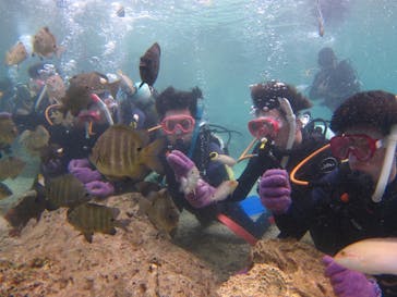 沖縄ダイビングショップシーモールに投稿された画像（2020/11/15）