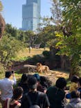 天王寺動物園に投稿された画像（2020/11/15）