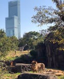 天王寺動物園に投稿された画像（2020/11/15）