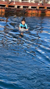 うみたま体験パーク 「つくみイルカ島」に投稿された画像（2020/11/15）