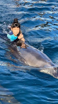 うみたま体験パーク 「つくみイルカ島」に投稿された画像（2020/11/15）