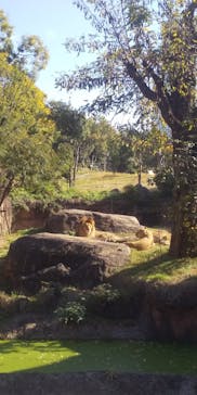天王寺動物園に投稿された画像（2020/11/15）