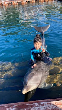 うみたま体験パーク 「つくみイルカ島」に投稿された画像（2020/11/15）