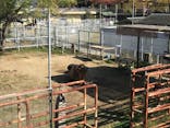 天王寺動物園に投稿された画像（2020/11/15）