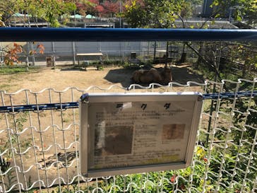 天王寺動物園に投稿された画像（2020/11/15）