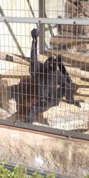 天王寺動物園に投稿された画像（2020/11/15）