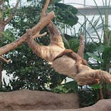 神戸どうぶつ王国に投稿された画像（2020/11/15）