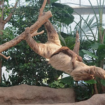 神戸どうぶつ王国に投稿された画像（2020/11/15）