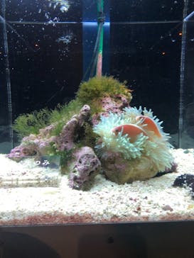 京都水族館に投稿された画像（2020/11/15）