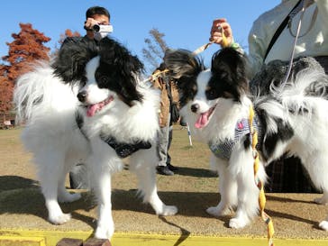 わんダフルネイチャーヴィレッジに投稿された画像（2020/11/15）