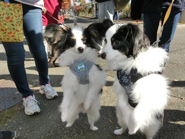 わんダフルネイチャーヴィレッジに投稿された画像（2020/11/15）