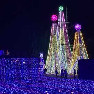 よみうりランド 遊園地に投稿された画像（2020/11/15）