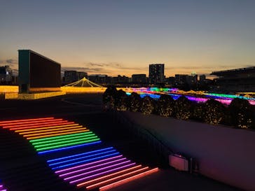 東京メガイルミに投稿された画像（2020/11/15）