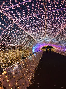 東京メガイルミに投稿された画像（2020/11/15）