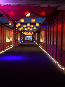 東京メガイルミに投稿された画像（2020/11/15）