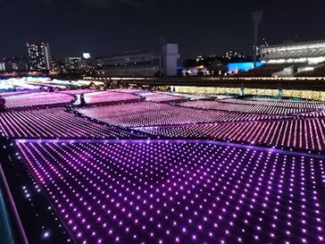 東京メガイルミに投稿された画像（2020/11/15）