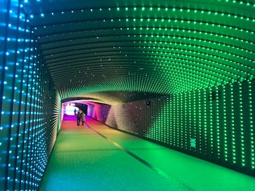 東京メガイルミに投稿された画像（2020/11/15）