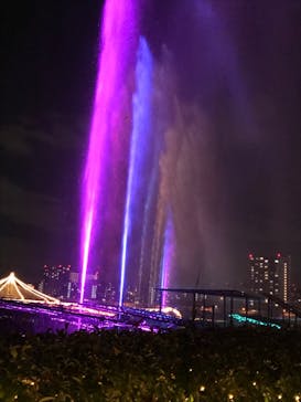 東京メガイルミに投稿された画像（2020/11/15）