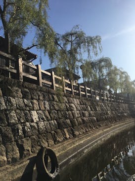 小江戸さわら 舟めぐりに投稿された画像（2020/11/15）