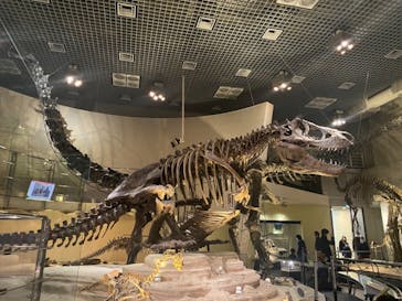 国立科学博物館に投稿された画像（2020/11/15）