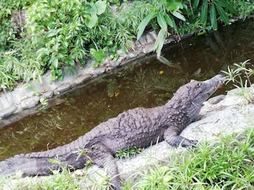沖縄こどもの国に投稿された画像（2020/11/15）