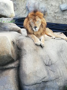 沖縄こどもの国に投稿された画像（2020/11/15）