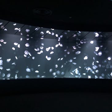 サンシャイン水族館に投稿された画像（2020/11/15）