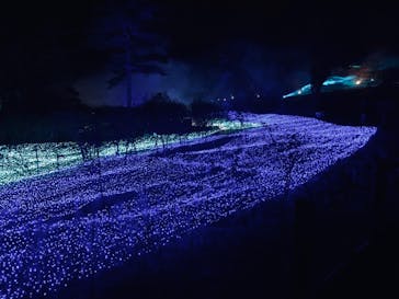 KYOTO ILLUMINATION SYNESTHESIA HILLS るり渓温泉に投稿された画像（2020/11/15）