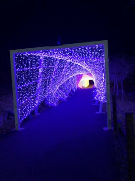 KYOTO ILLUMINATION SYNESTHESIA HILLS るり渓温泉に投稿された画像（2020/11/15）